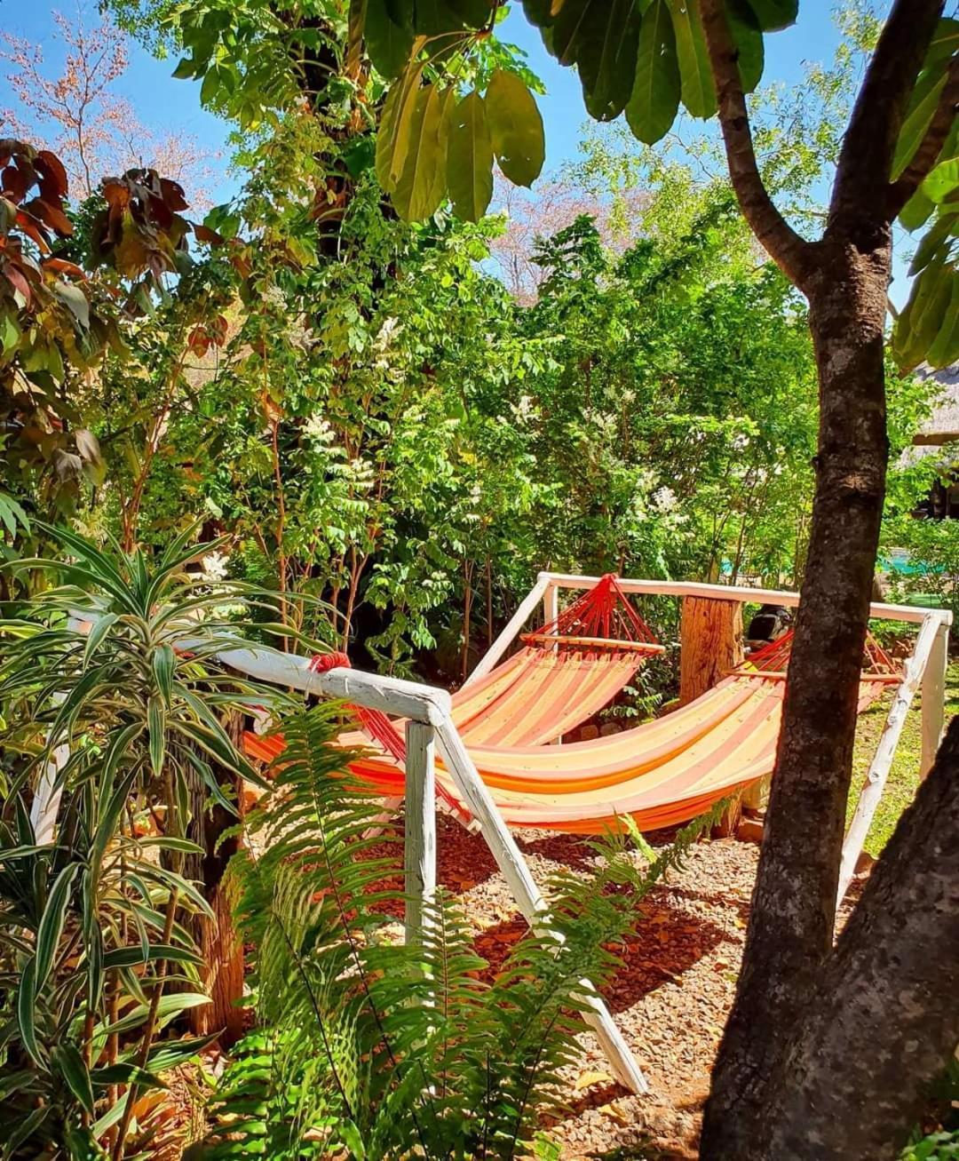 Victoria Falls Backpackers Lodge- Camp Sites Exterior photo